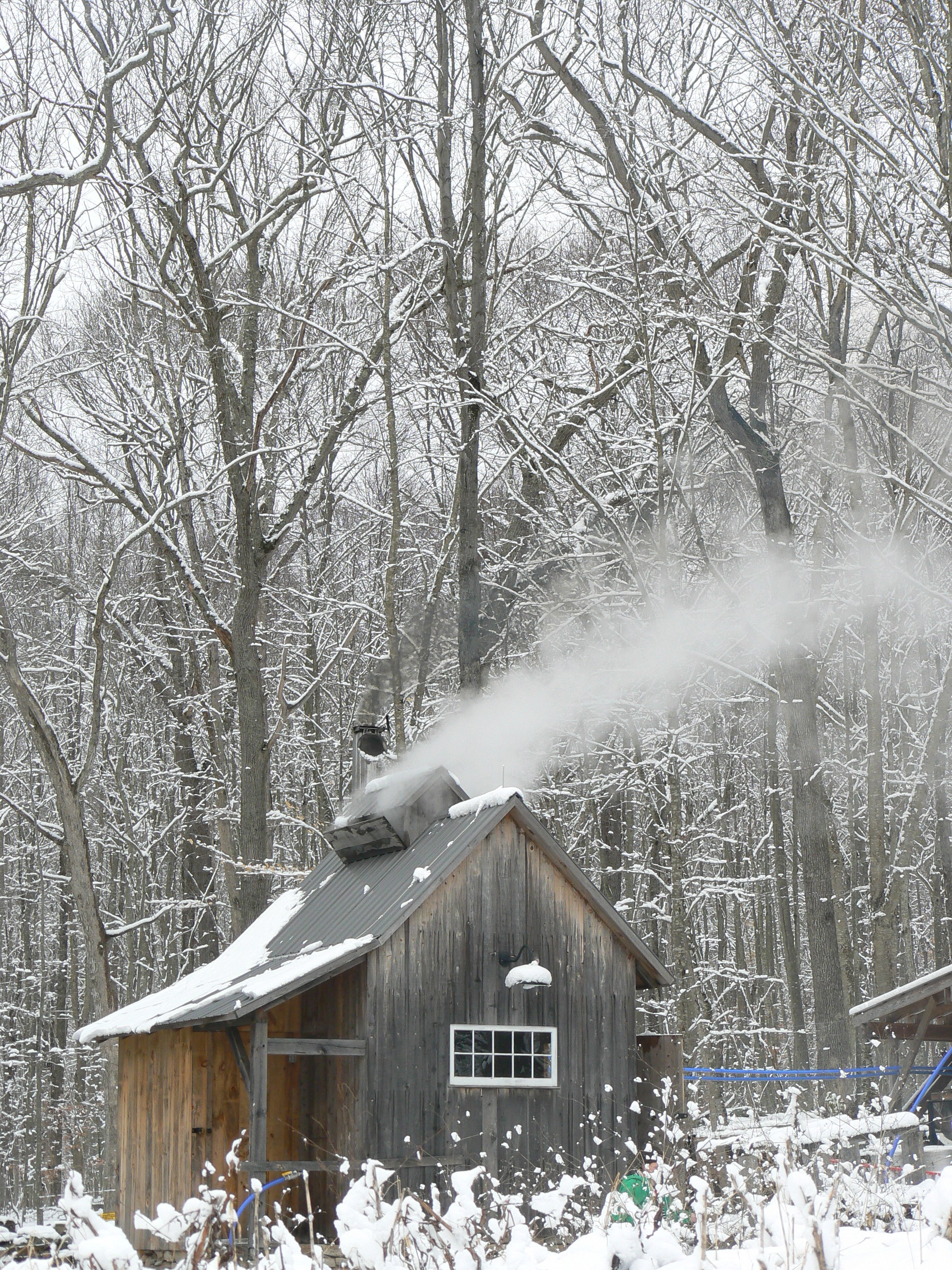 Winter on the Farm