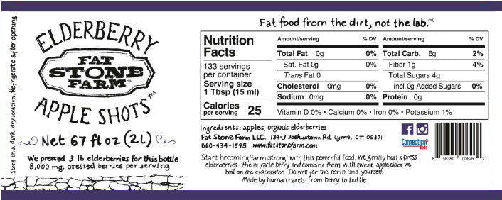 Elderberry Apple Shots, 67 fl. oz.