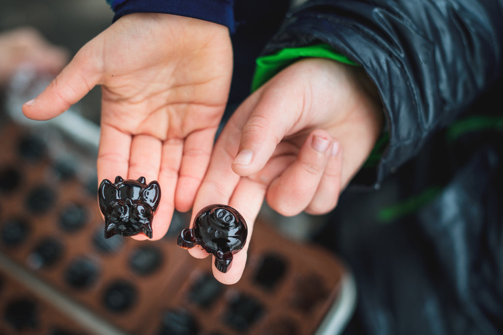 Elderberry Gummy Mini Refill Kit