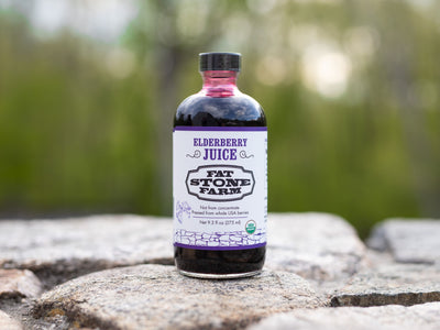 Elderberry Juice, 9.3 fl oz, organic