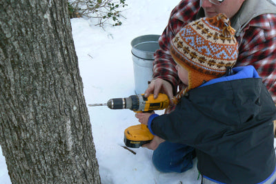 Ye Olde Grade B Maple Syrup Pack