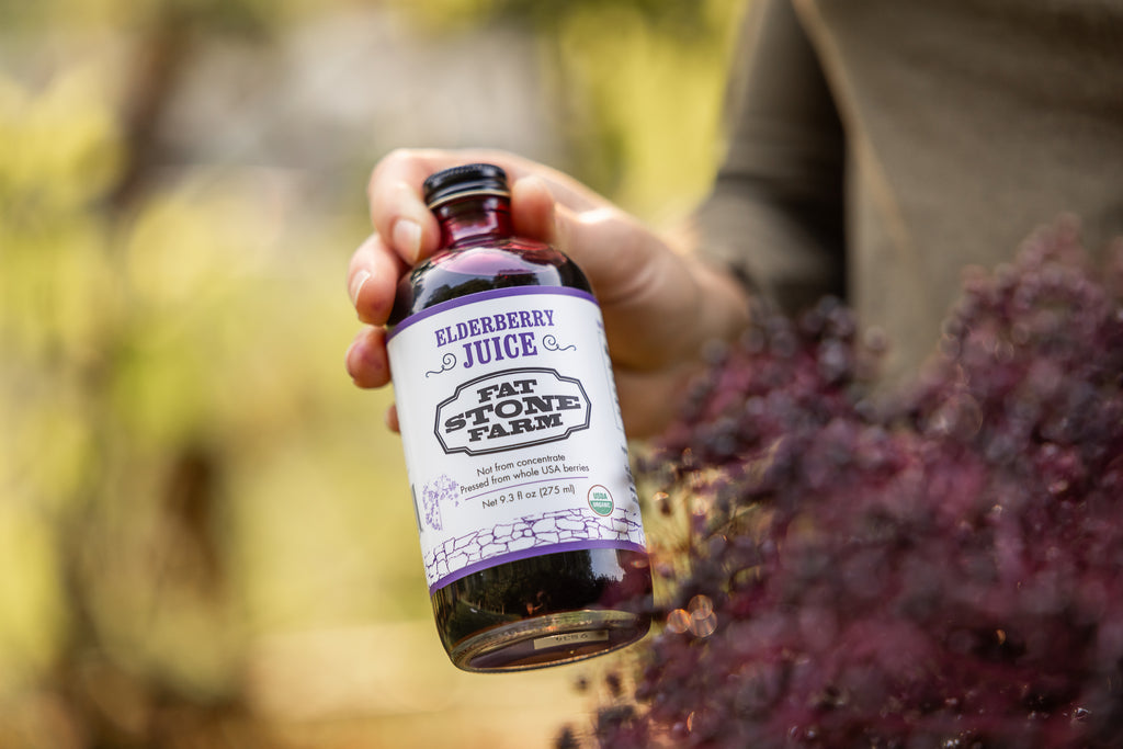 Elderberry Juice, 6-pack, Organic