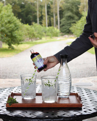 Elderberry Soda Syrup